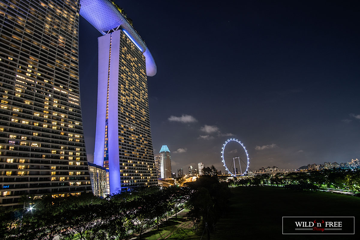 Singapore ring.jpg