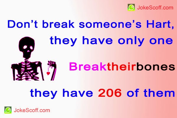 funny pictures with quotes in english