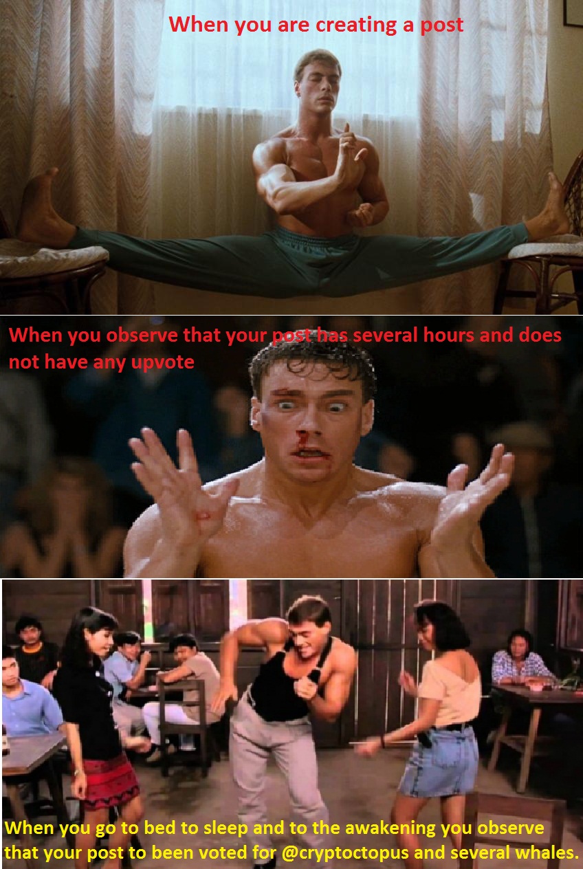 a.jpg