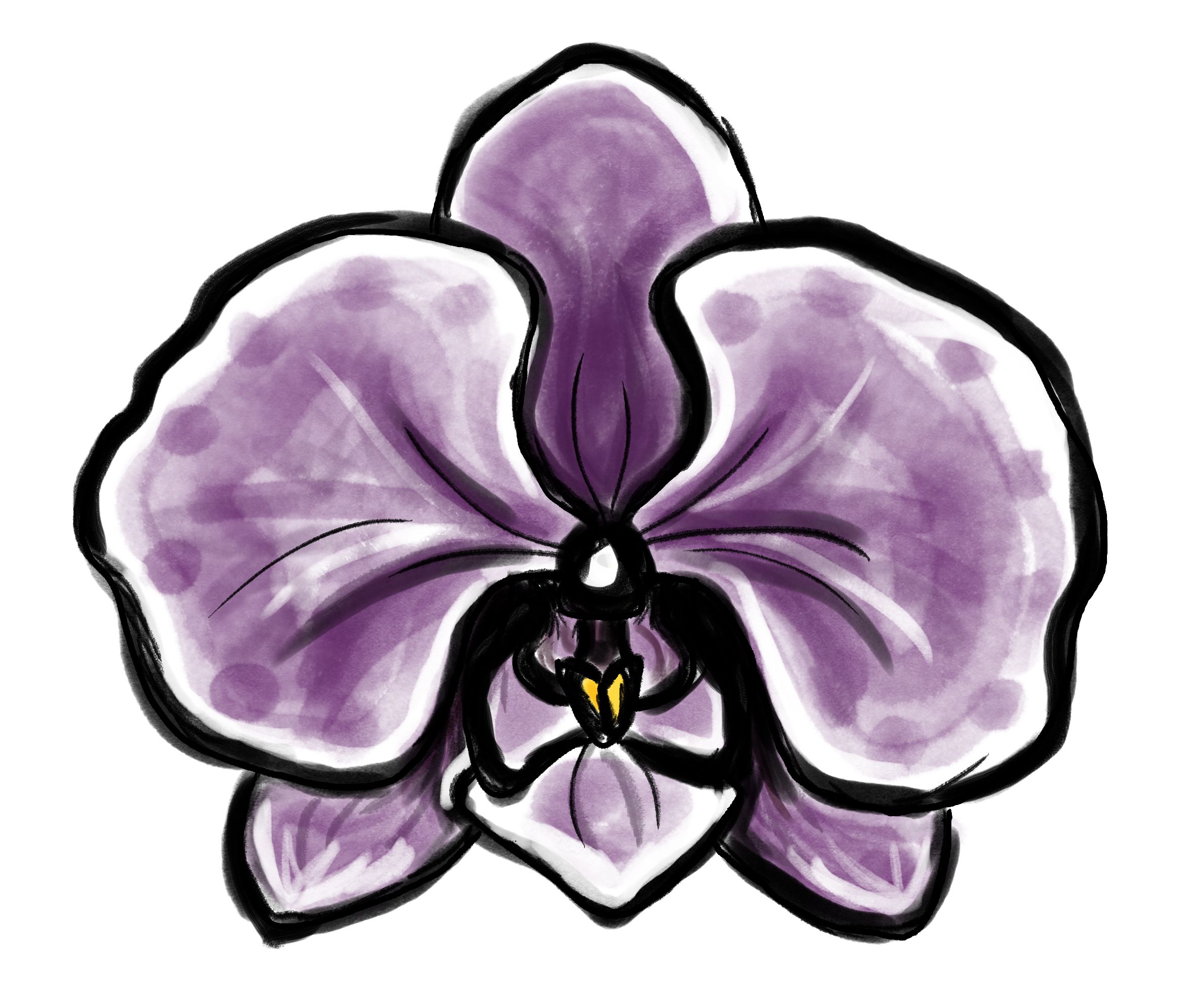 orchid.jpg