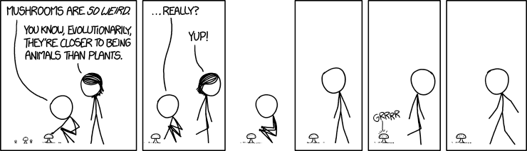 mushrooms by xkcd.png