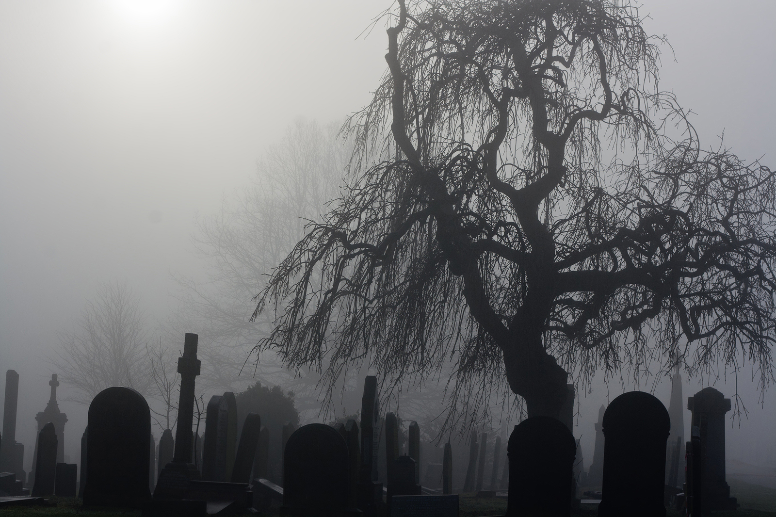 Image result for scary cemetery
