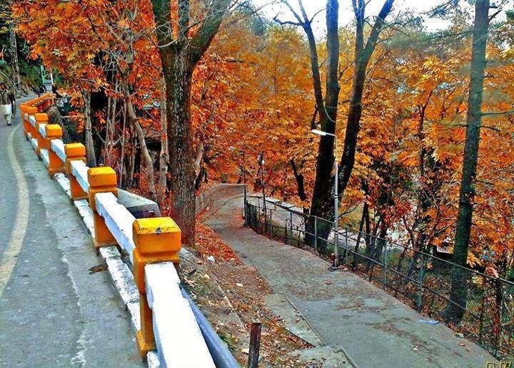 15-This-is-what-autumn-looks-like-Murree.jpg