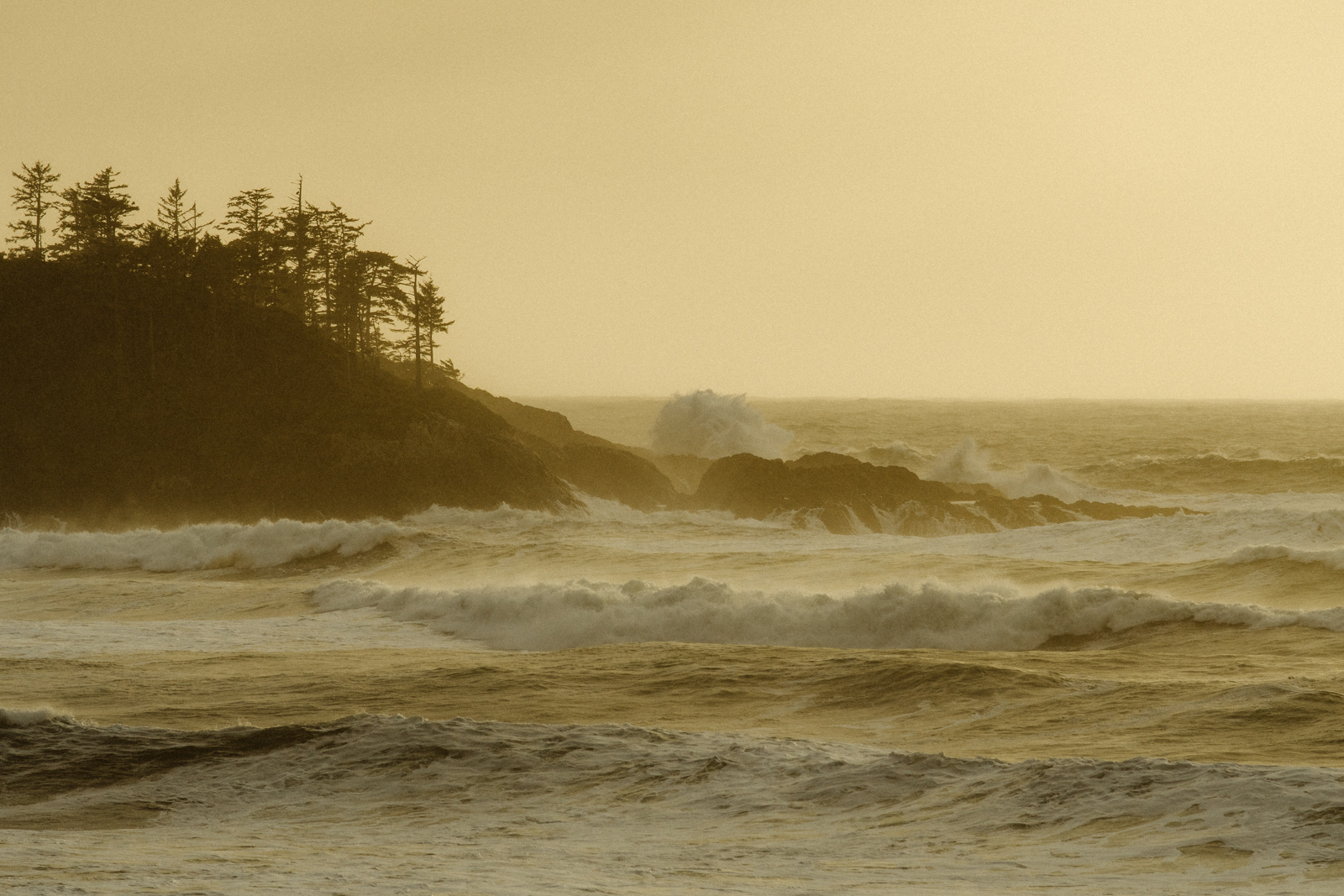 tofino_stormseason-9107.jpg