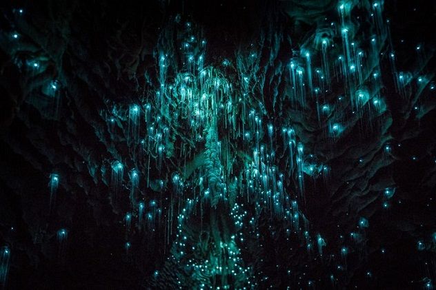 Las cuevas de Waitomo Glowworm, Nueva Zelanda.jpg