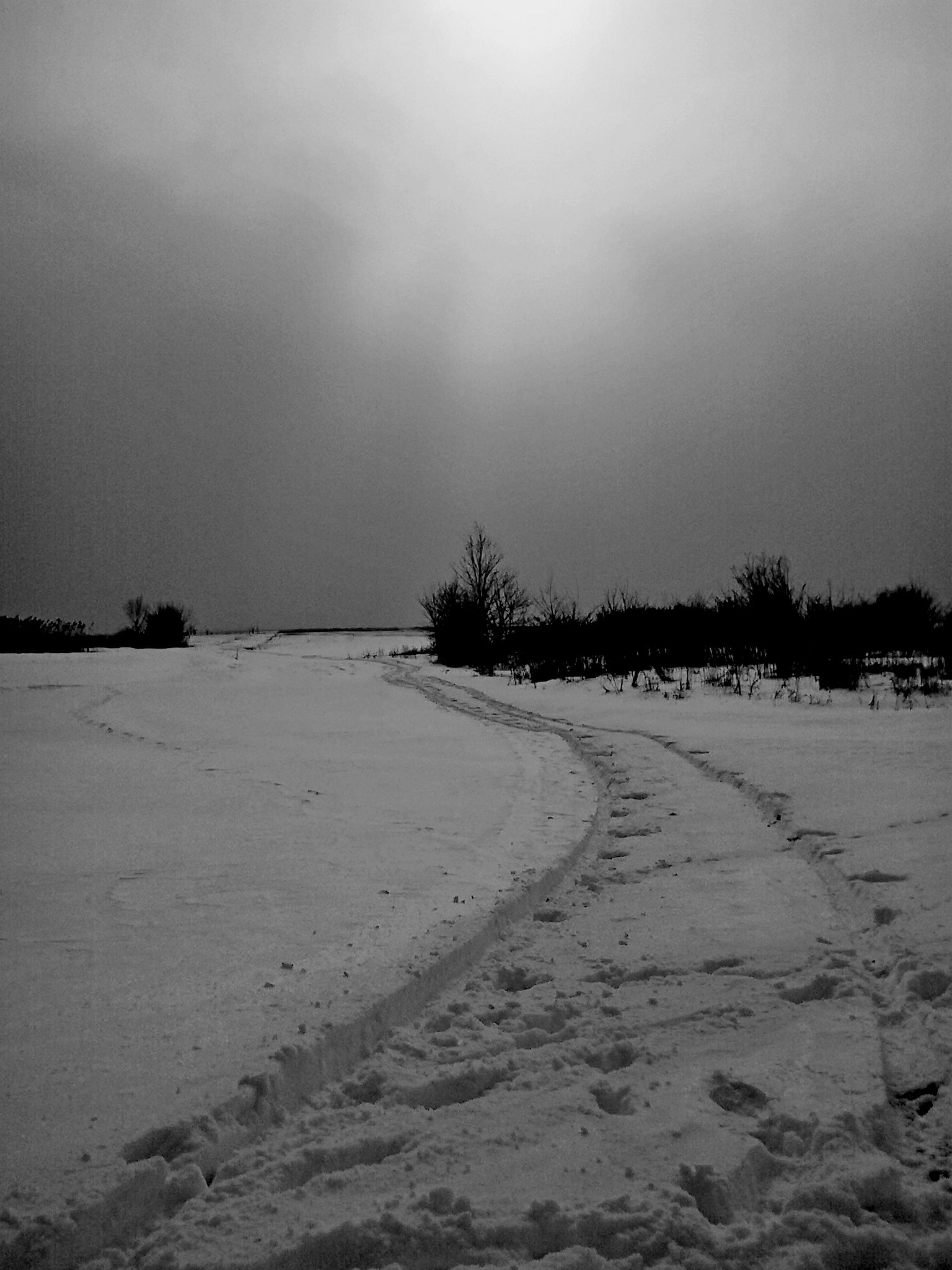Img 009bw2.jpg
