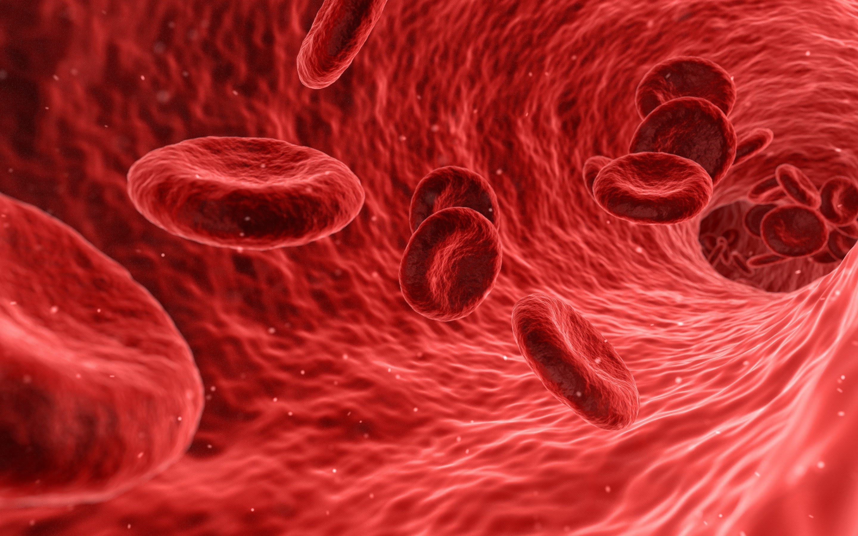 Blood_Cells_wallpaper.jpg