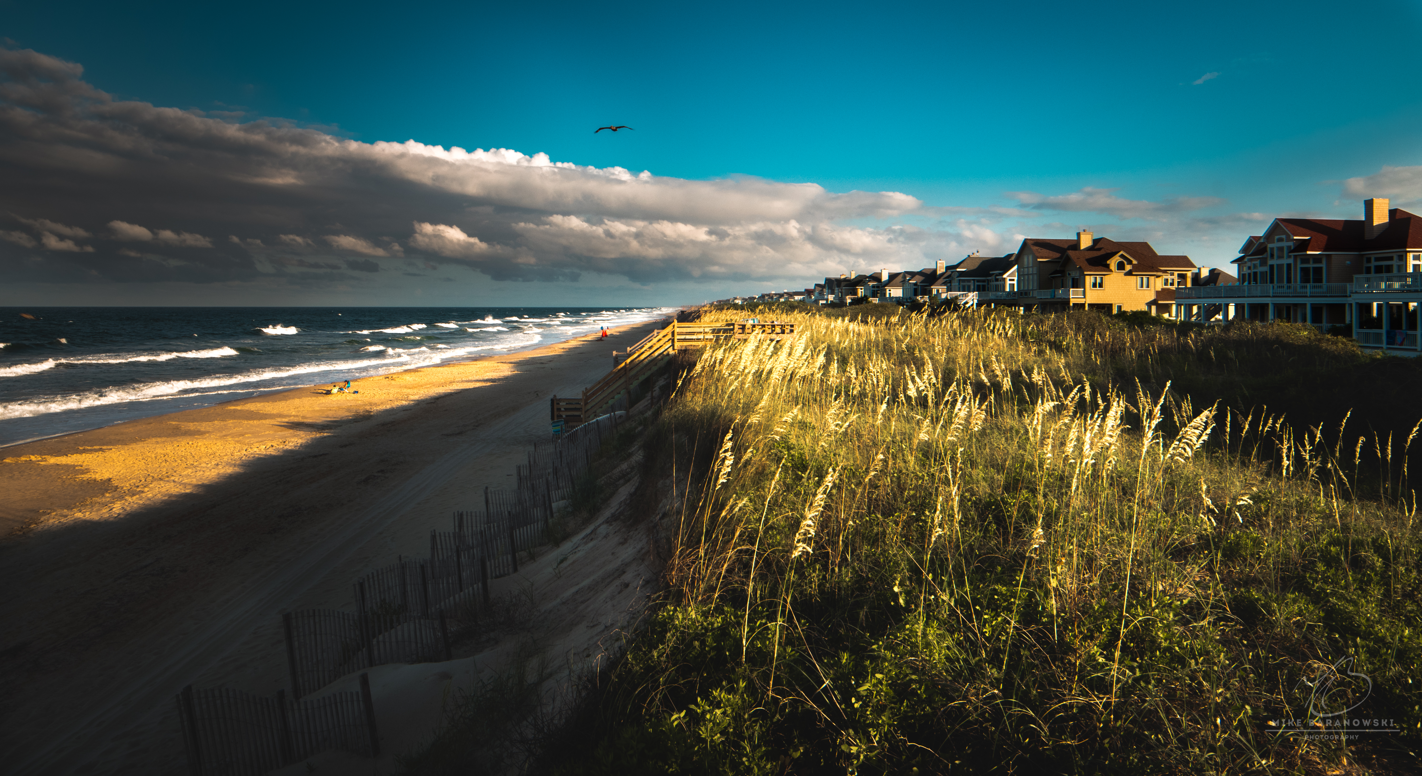 Beach Dunes.JPG