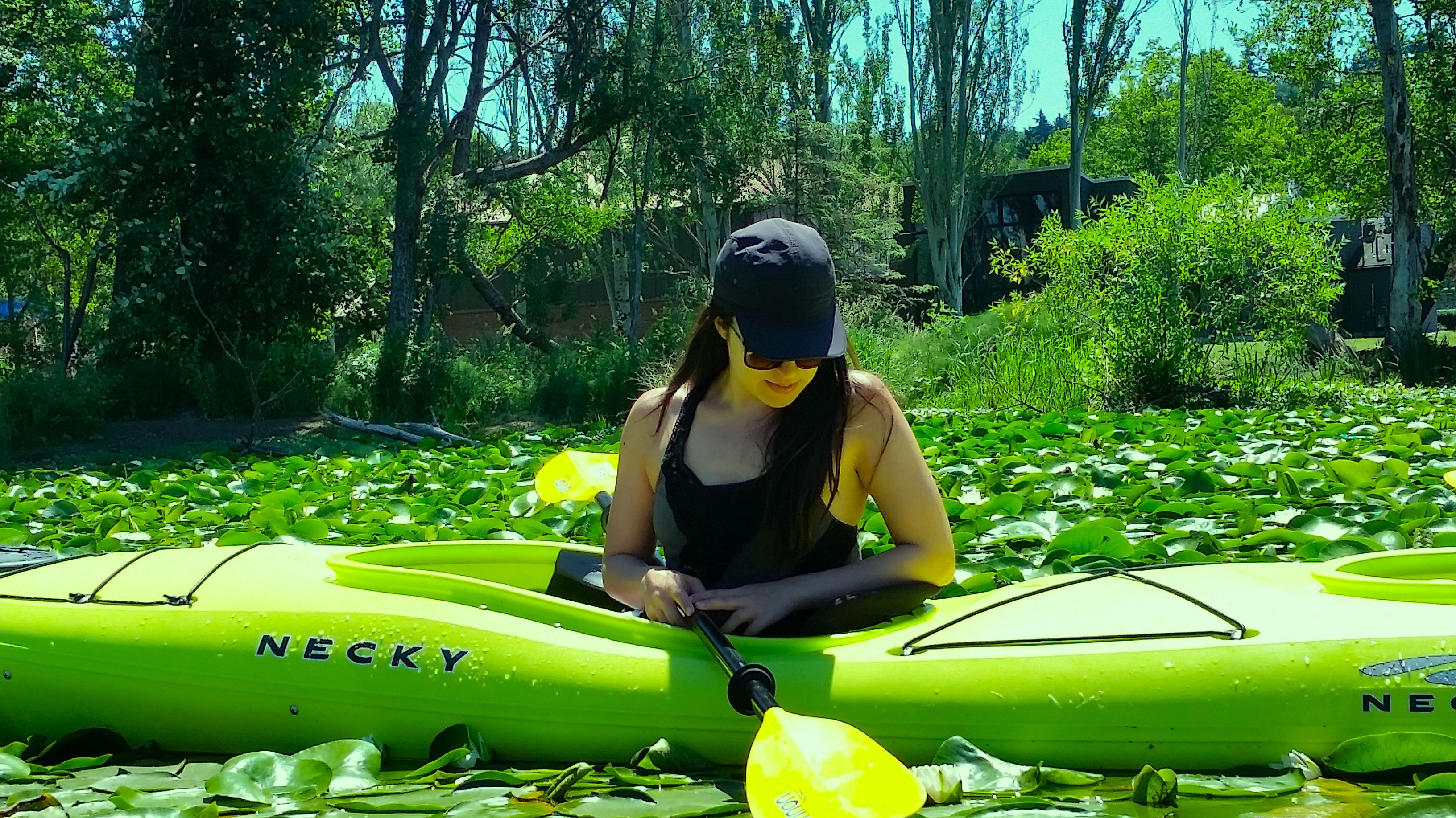 Kayak amongst lily pads.jpg