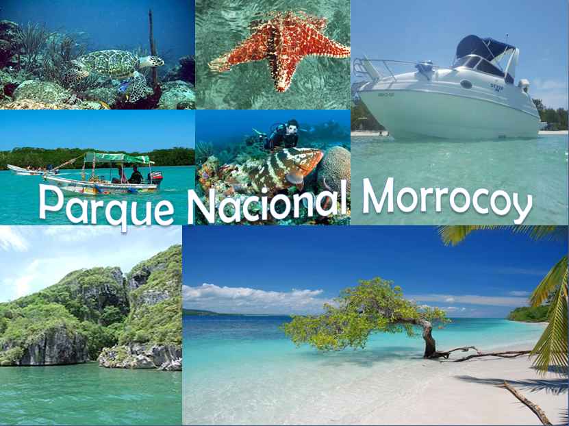 parque nacional morrocoy.png