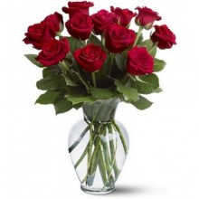 12-Red-Roses-500x500-220x220.jpg