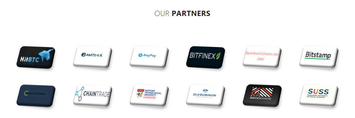 STC Partners.PNG