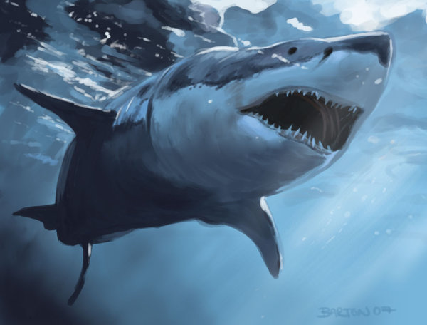 great_white_shark_by_art_of_bart.jpg