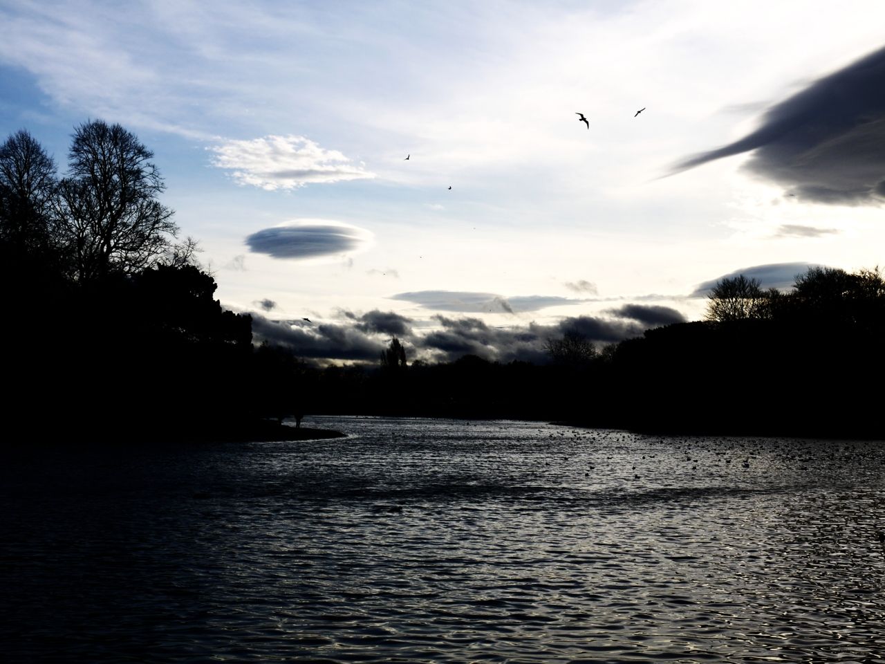 15569048311 - birds trees clouds water wind and sky sefton park.jpg