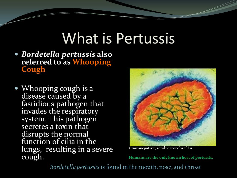Childhood Diseases – On a Mission to Educate Pertussis (Whooping Cough