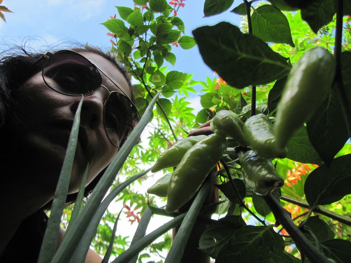 Ledis Day six selfie sky with peppers.JPG