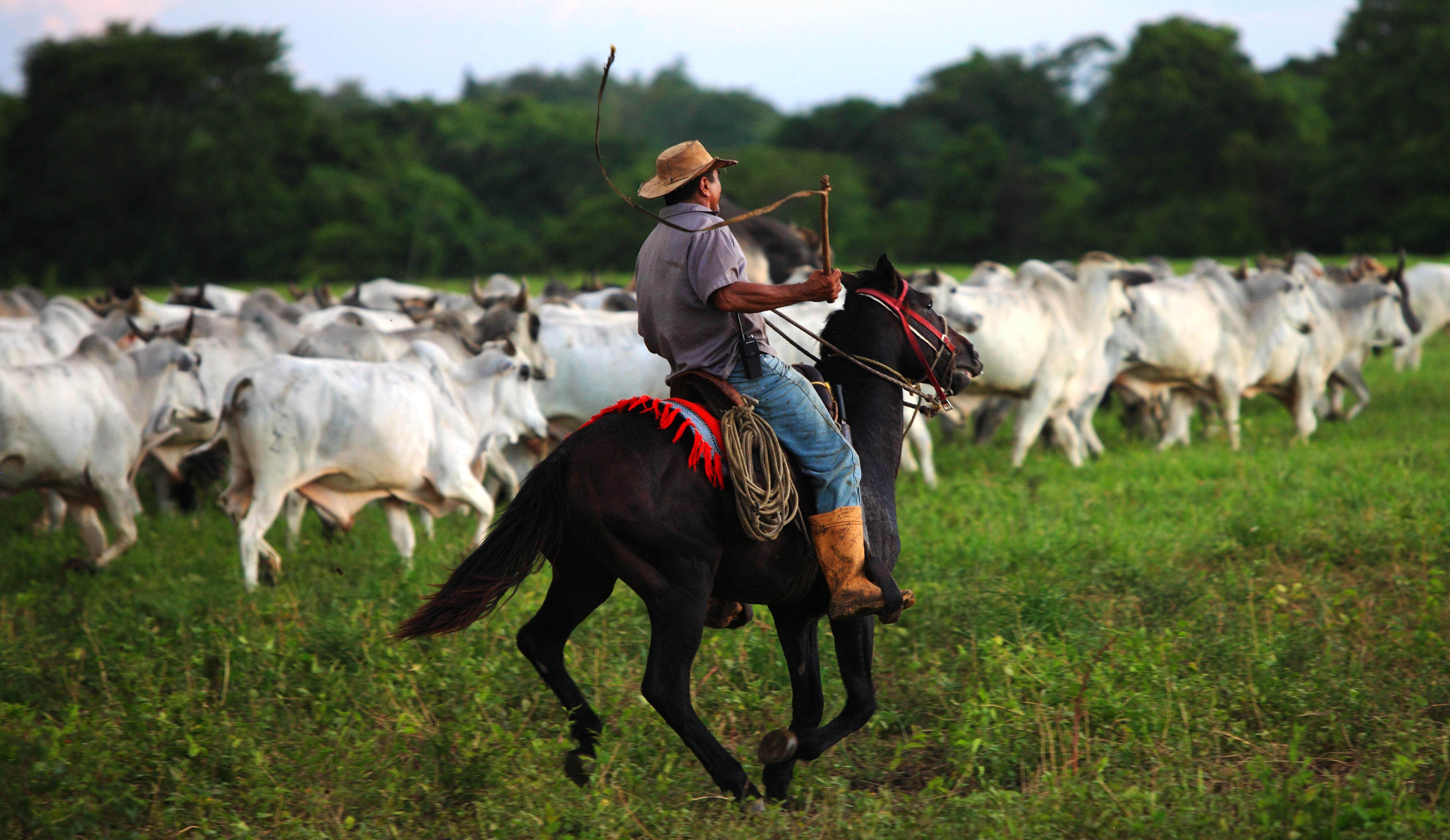 llanos.jpg