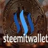 steem wallet coin comment.png