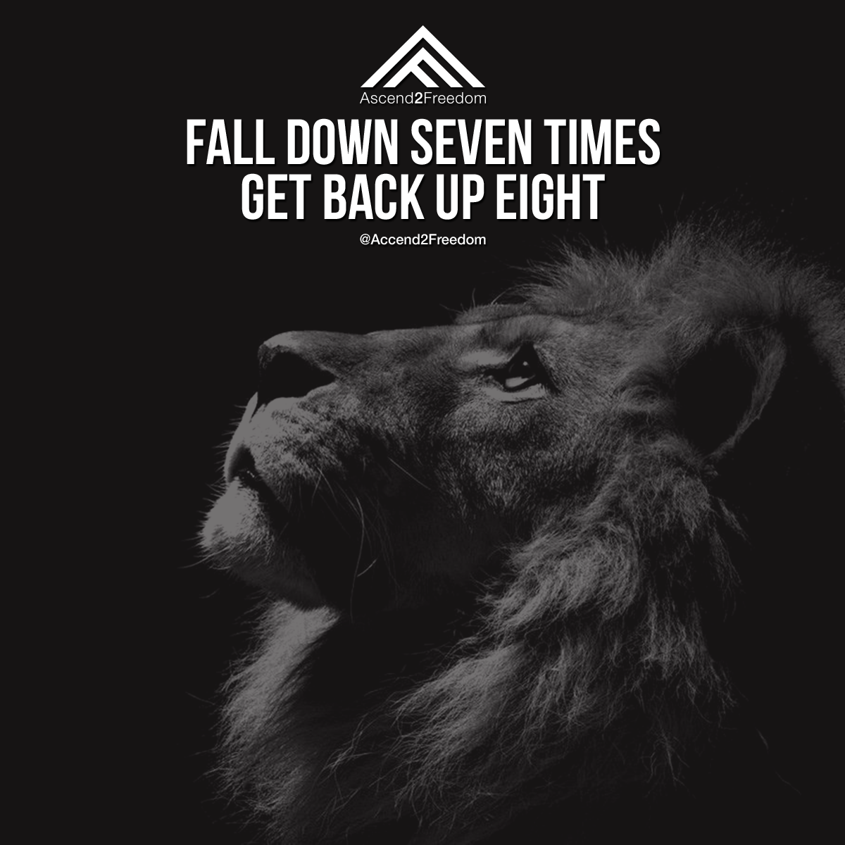 A2F_Quote_E038.png