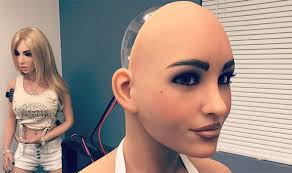 ROBOT ROMPS What is a robot sex doll, what is the sex robot brothel in  Paris and how much do they cost?  Steemit
