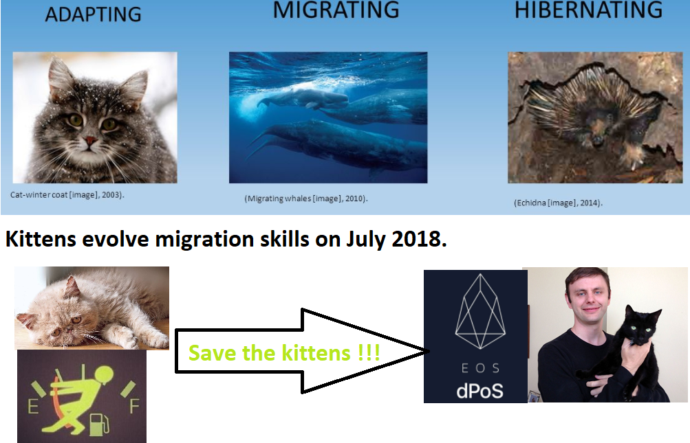 Migration Kittens.png