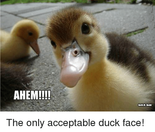 one-does-not-simply-make-aduck-face-and-look-attractive-8605448-1.png