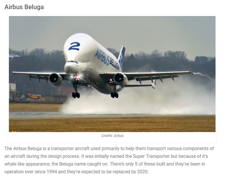 Airbus baluga.jpg