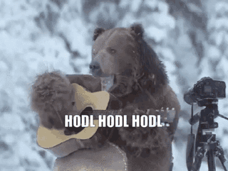 Cryptocurrency Hold GIF-downsized_large.gif