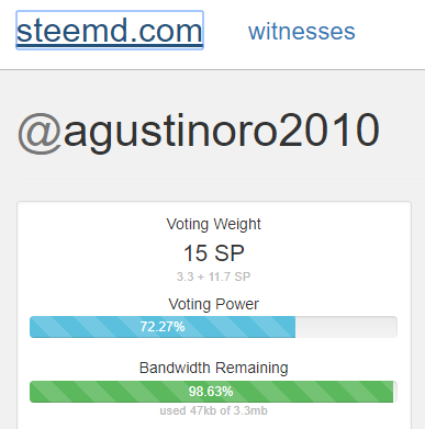 agustinoro2010.PNG