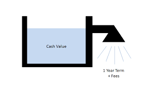 cash value plus 1 yr term.png