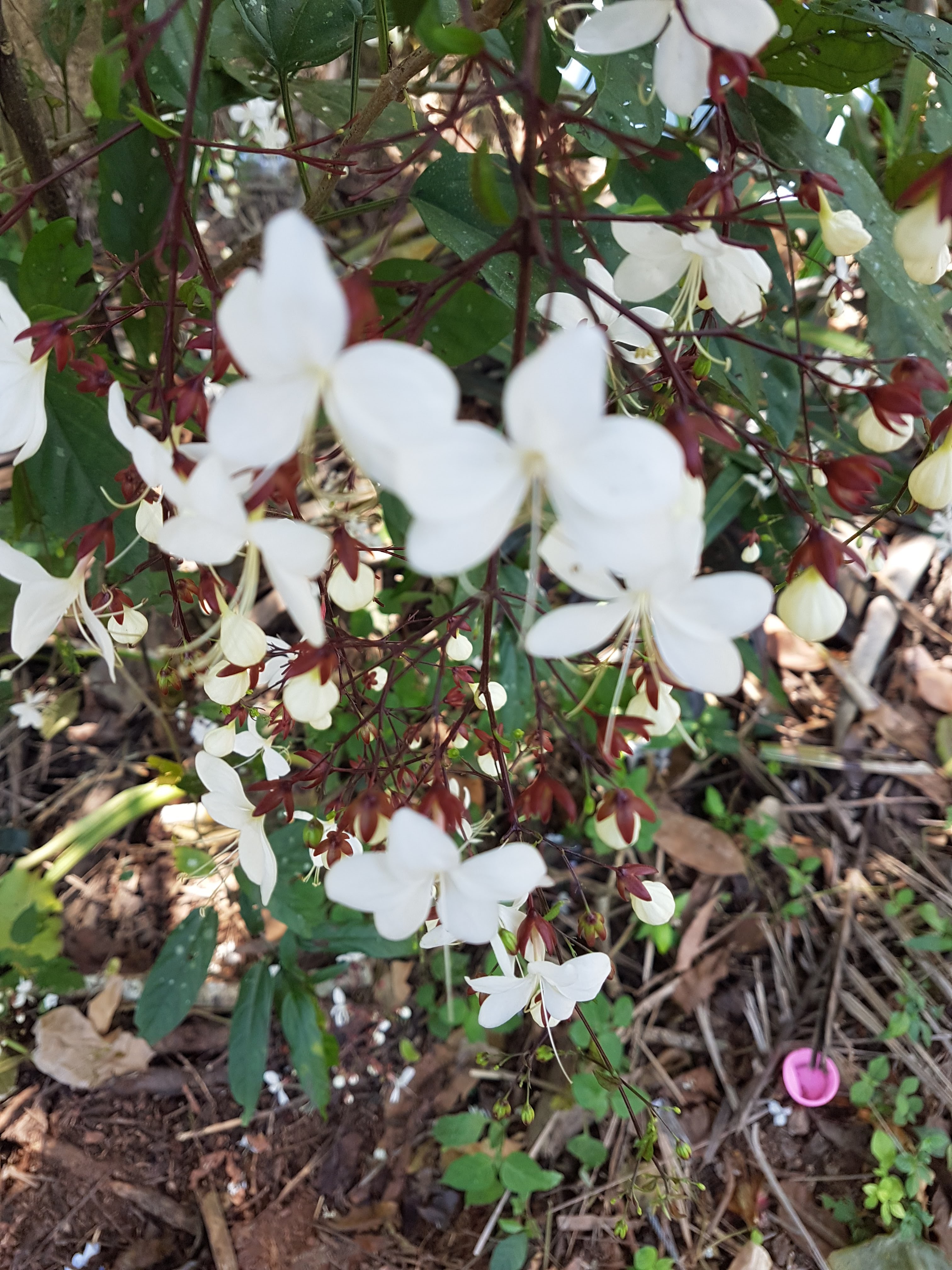 20180207_123153.jpg
