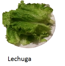 Lechuga.jpg