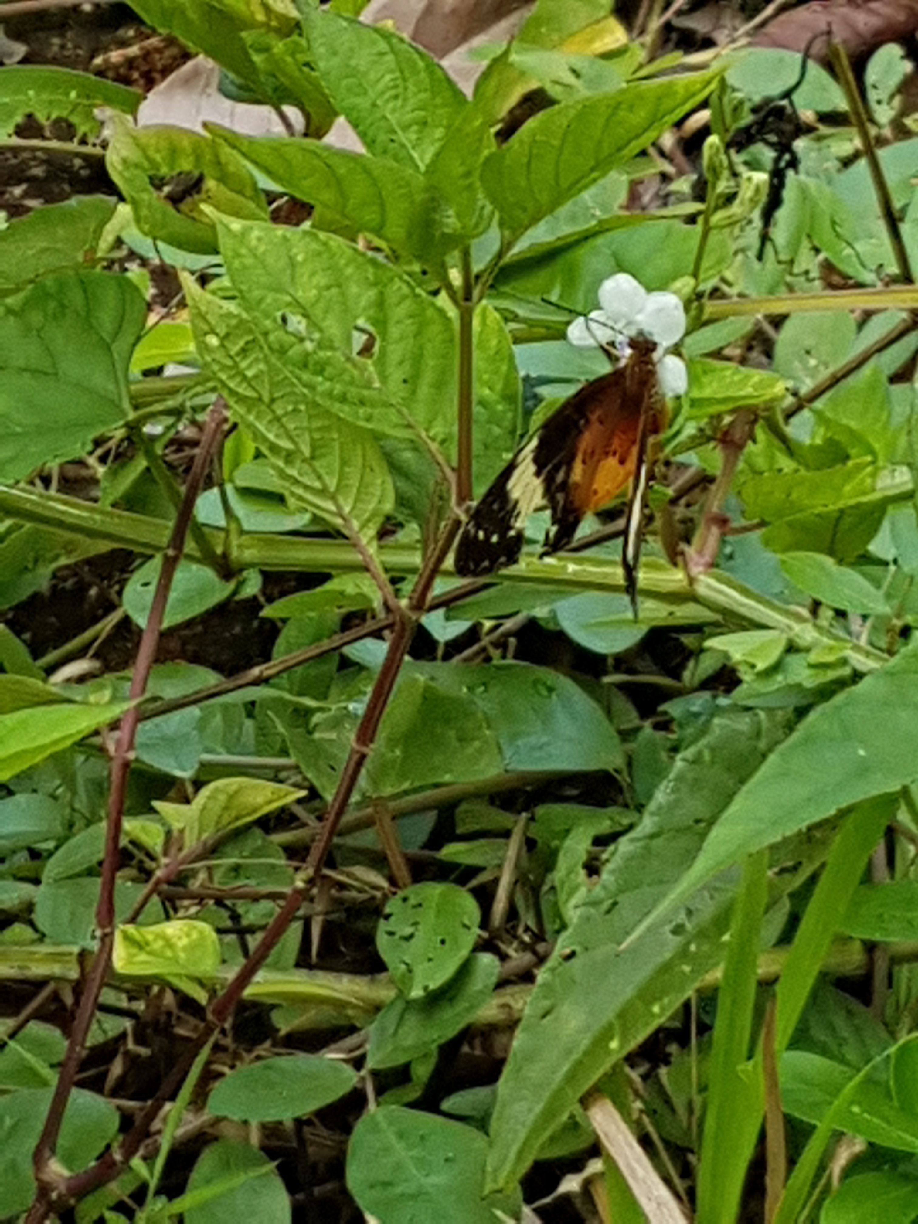 20171004_103826.jpg