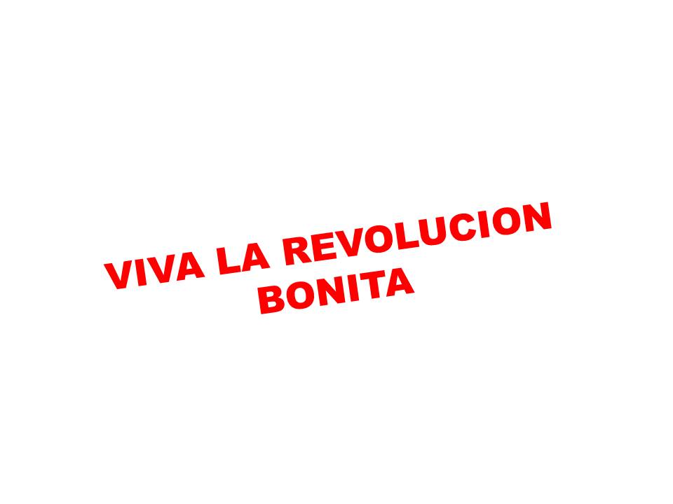 REVOLUCION BONITA.jpg