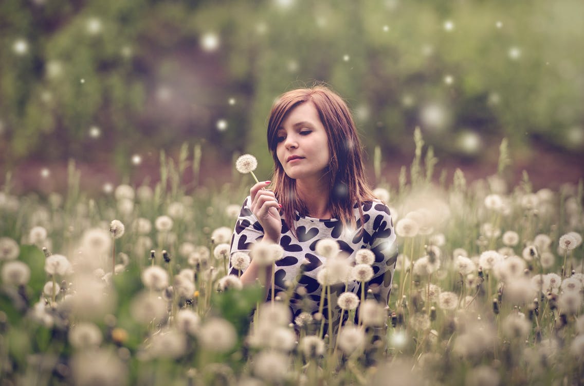 woman-portrait-meadow-dandelions-157604.jpeg