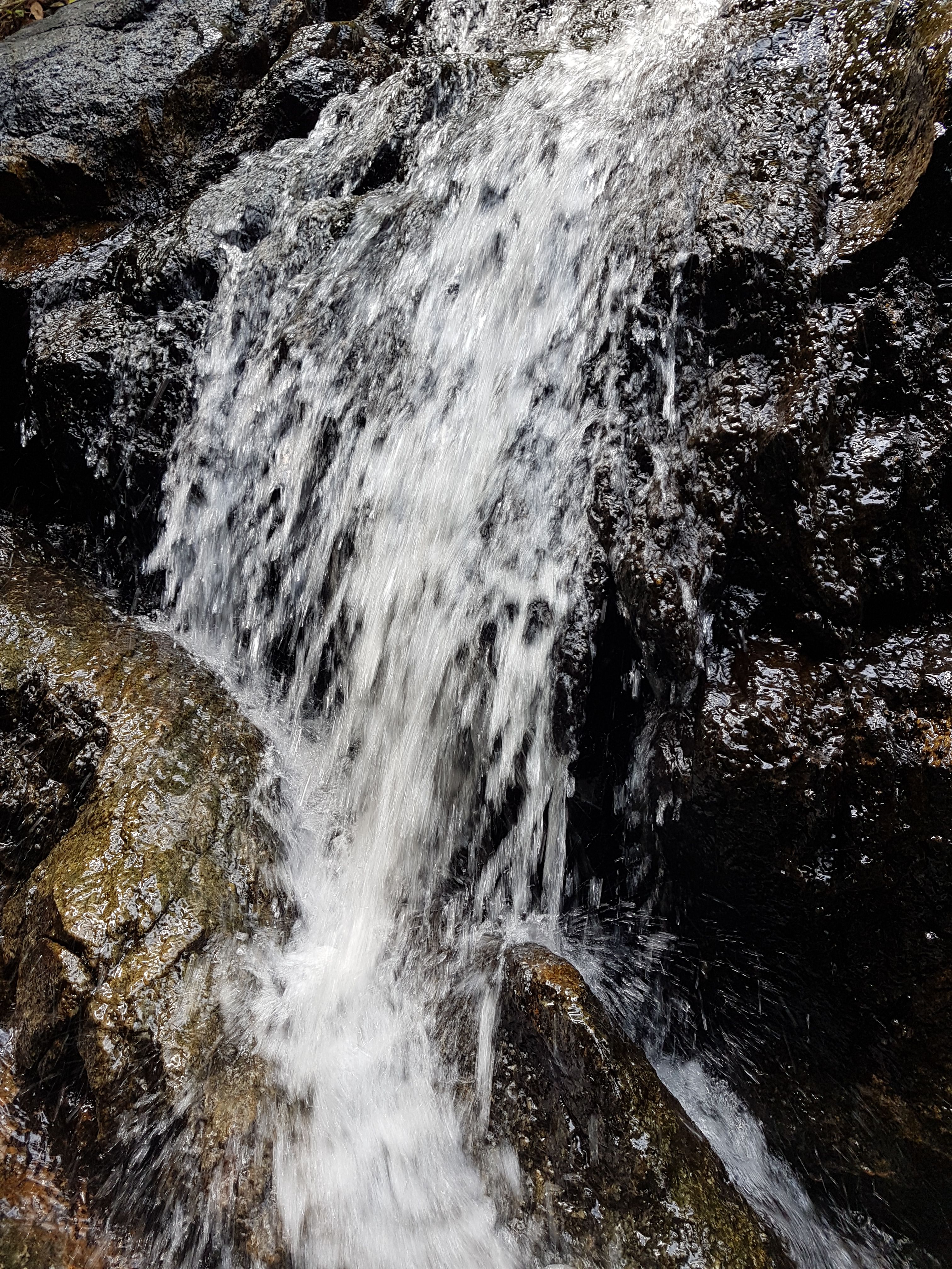 20171004_101935.jpg