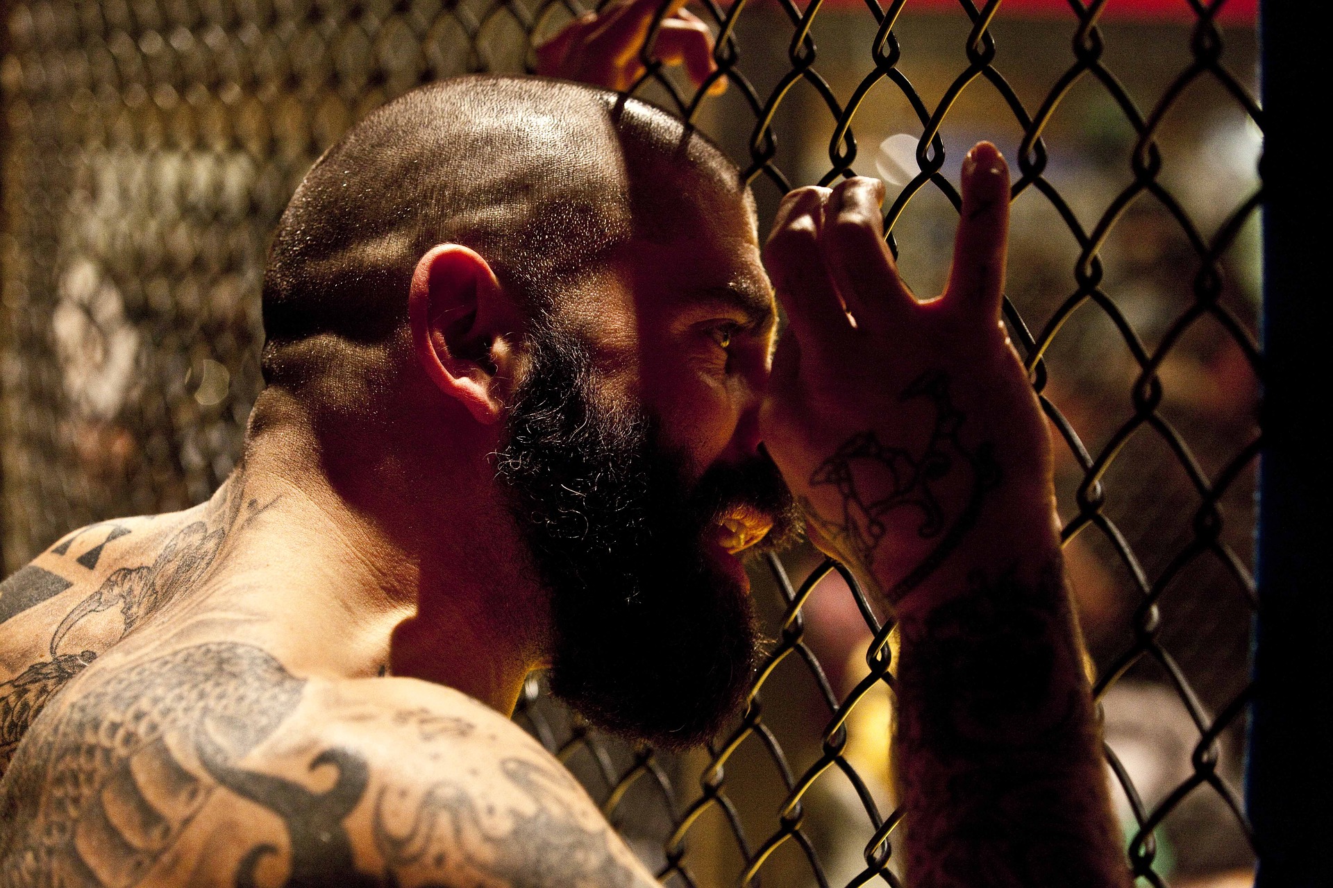 mma-fighter-cage-tattoo-beard-freedomain.jpg