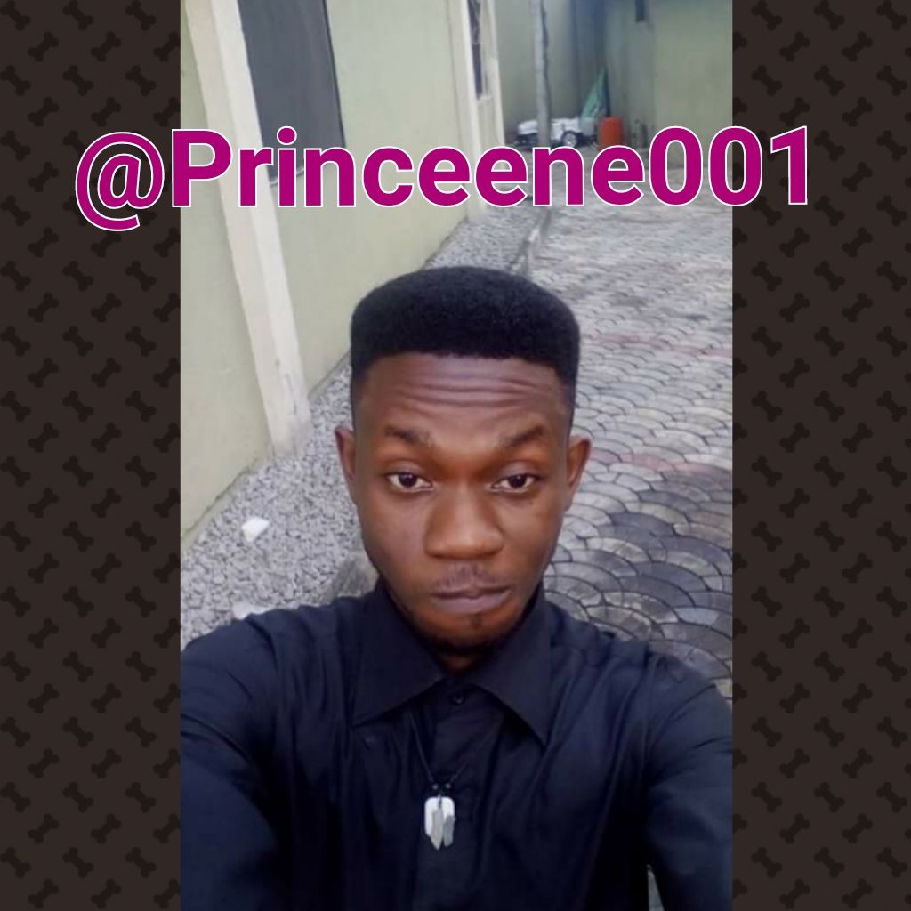 PhotoGrid_1513947235624.jpg