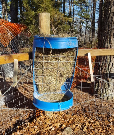 Building A Feeder For Meatloaf The Steer Steemit