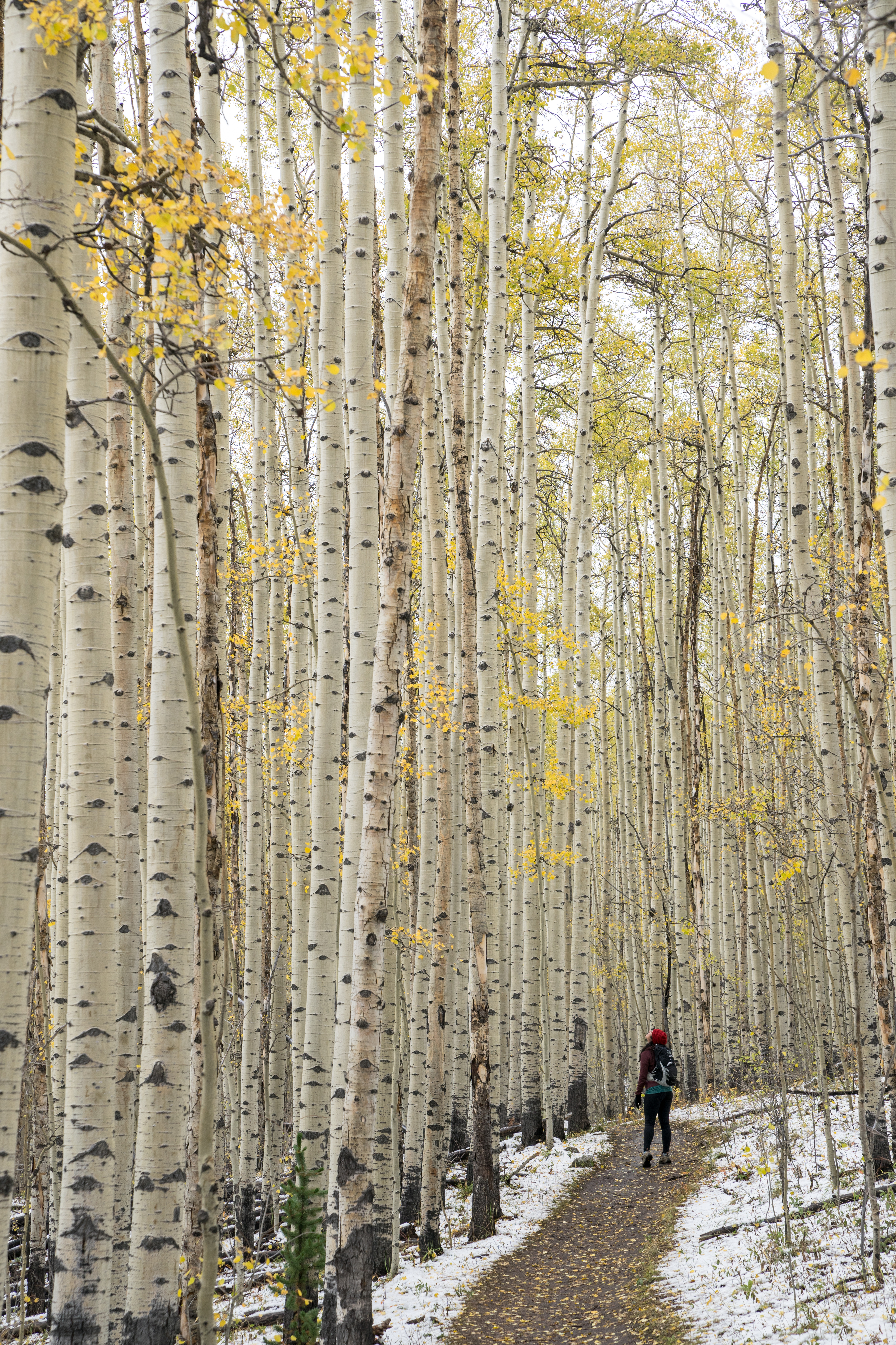 Christina + Aspens I.jpg