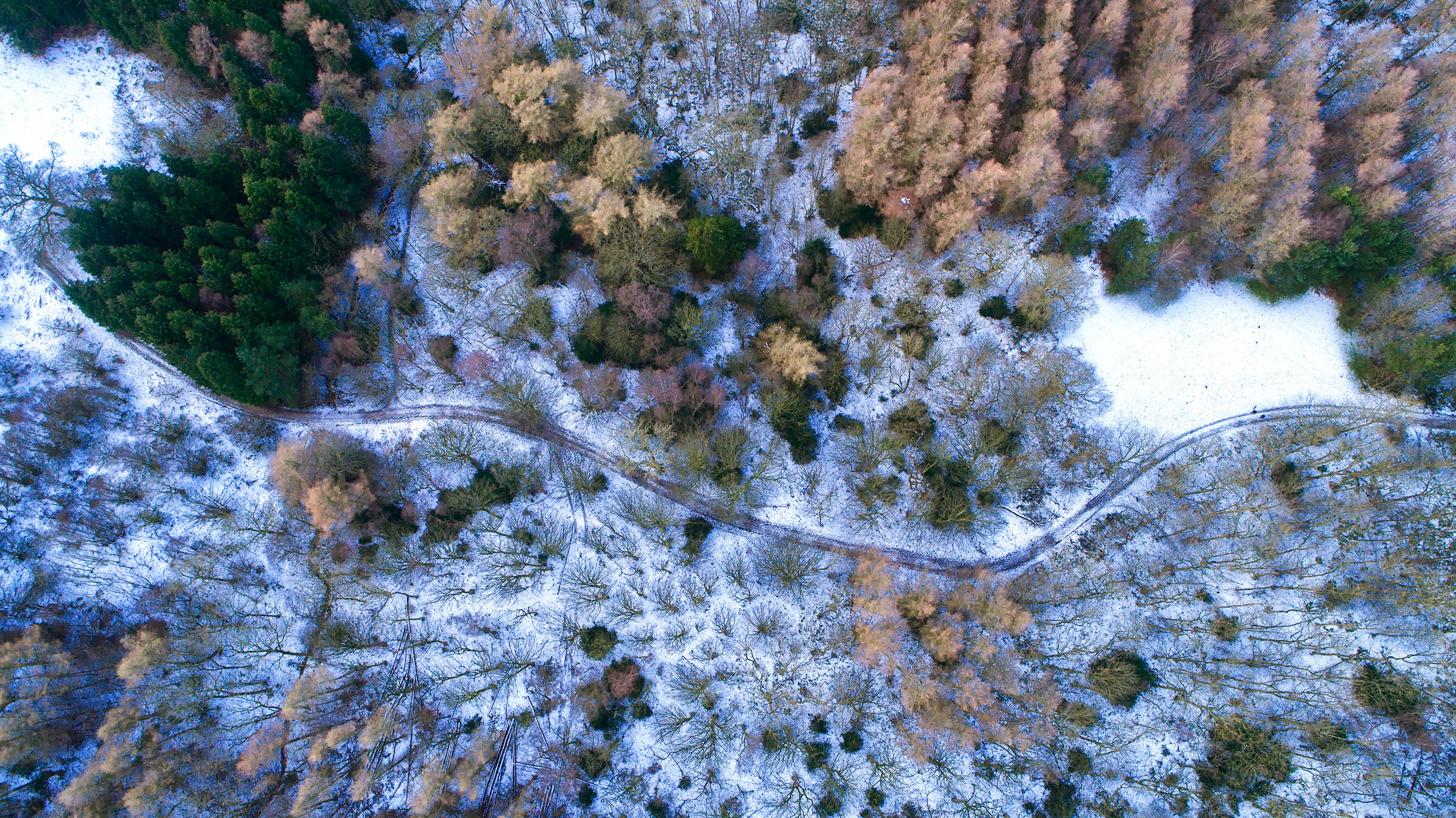 Yorskhire Snowdrone202dji_031208.jpg