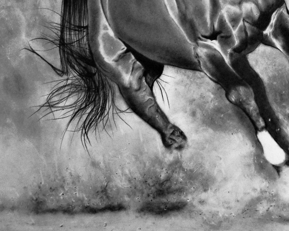 adele pazani (1)weejbj.jpg