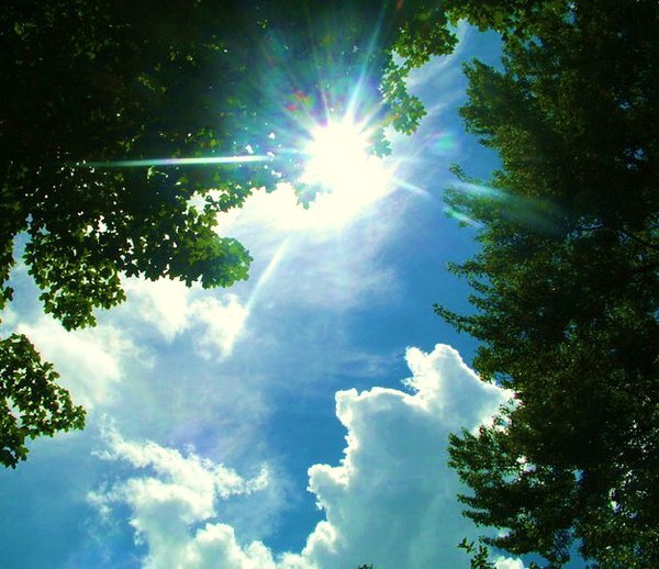 bright_sun_shiny_day_by_elliemae345-d3wr3kx.jpg
