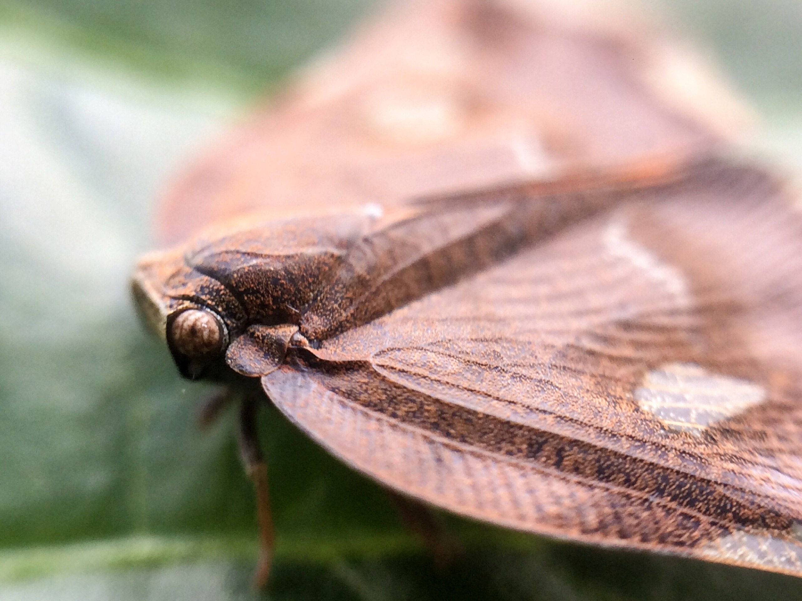 IMAGE 2018-02-04 17:52:38.jpg