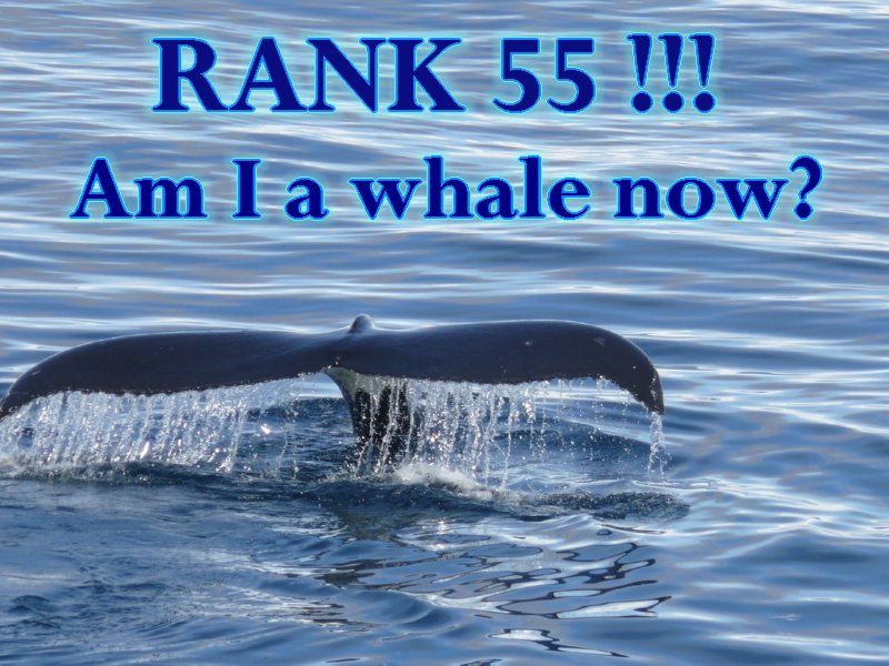 Rank55.jpg