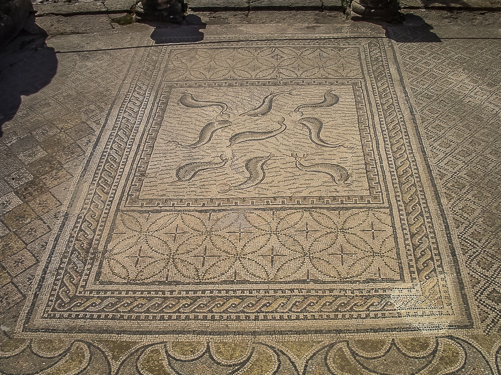 10_24_03_Volubilis_Mosaic_Dolphins_02.jpg