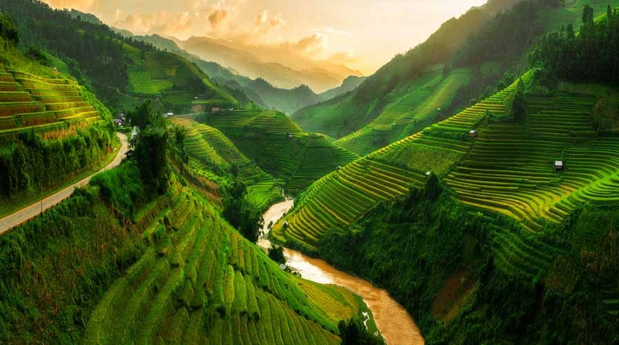 Rice_Terrace_Fields.jpg