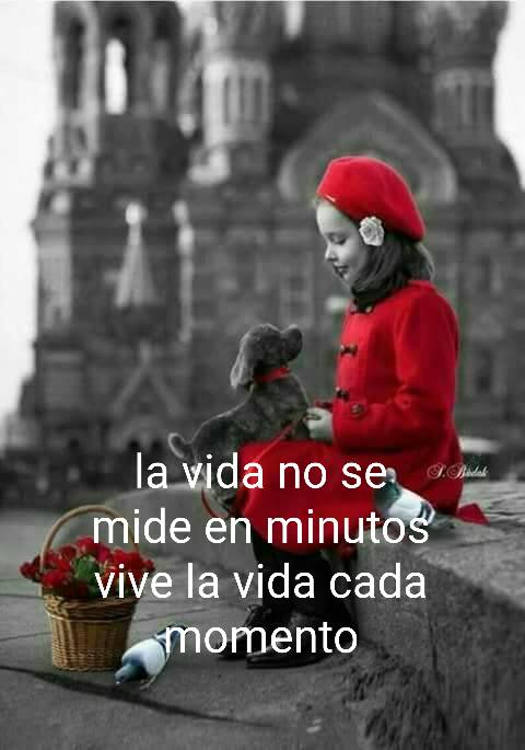 la vida.jpg