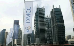 dmcc1-300x188.jpg