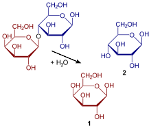 220px-Hydrolysis_of_lactose.svg.png